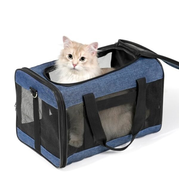 Airline Approved Pet Carrier-Foldable,Soft-Sided, Safety Leash
