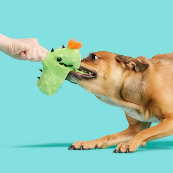Prickly Pete Dog Toy – Surprise Squeaker Toy Inside (For Extra Small to Small Dogs, Green) - Image 6
