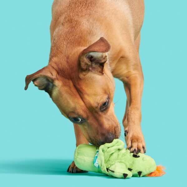 Prickly Pete Dog Toy – Surprise Squeaker Toy Inside (For Extra Small to Small Dogs, Green) - Image 5