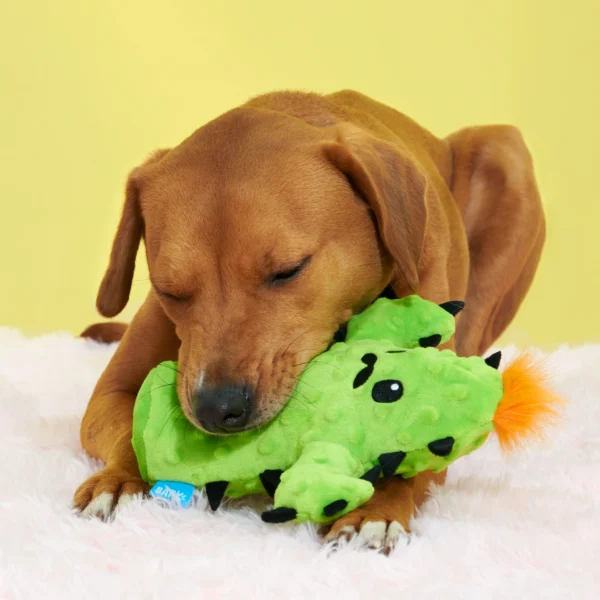 Prickly Pete Dog Toy – Surprise Squeaker Toy Inside (For Extra Small to Small Dogs, Green) - Image 4