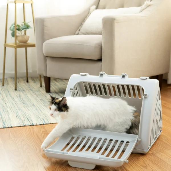 Foldable Plastic Travel Cat Carrier – Gray, One Size - Image 5
