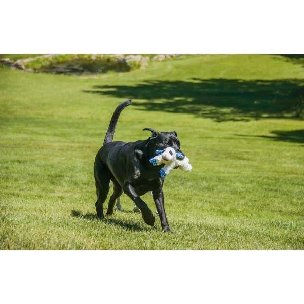 Plush Lamb Chop Dog Toy with Squeaker, Medium, White and Blue - Image 4