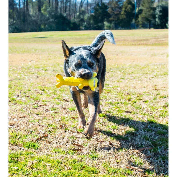 Smiling Dog Loofa Pals Latex Plush Dog Toy – Banana Shaped Fun for Small & Medium Dogs - Image 4