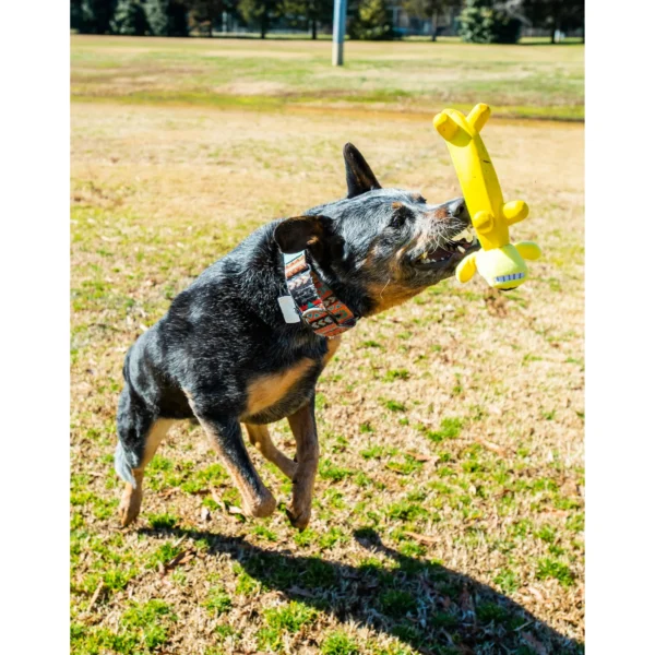 Smiling Dog Loofa Pals Latex Plush Dog Toy – Banana Shaped Fun for Small & Medium Dogs - Image 3