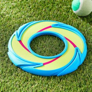Neon Fetch and Play Buddy Dog Toy – 9