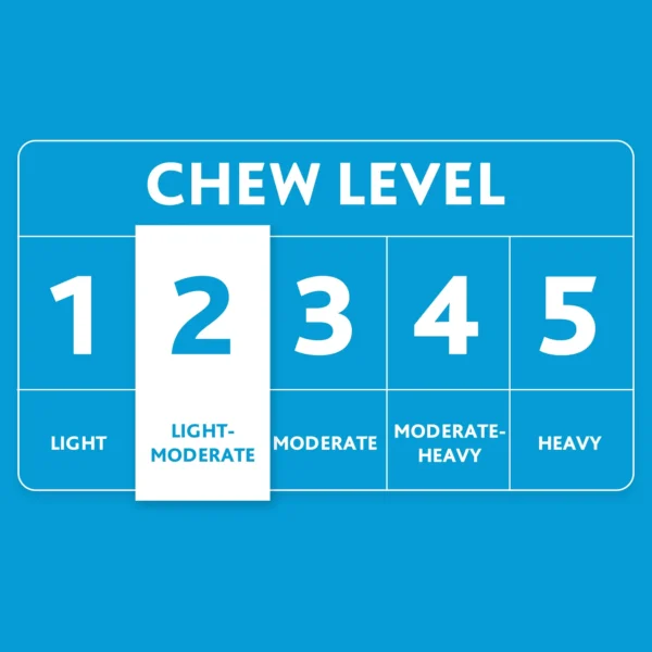 Neon Fetch and Play Buddy Dog Toy – 9" Chew Level 2, Lightweight & Durable Interactive Disc - Image 6
